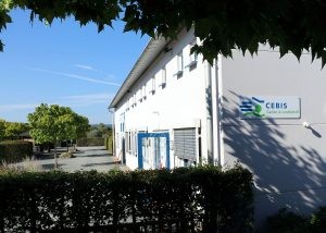 CEBIS